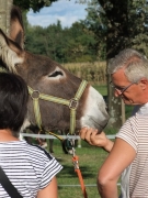 51_Beniamino Ersilio
